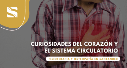 Curiosidades del corazón y el sistema circulatorio
